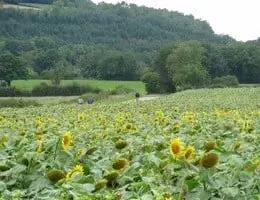 Gay Group Trip: Colours Of Burgundy Biking Tour