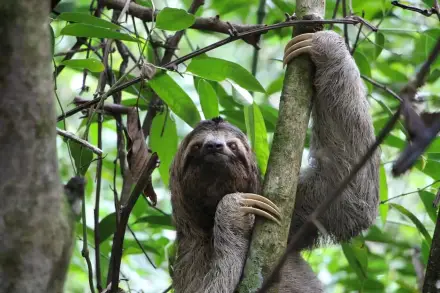 Gay Group Trip: Experience Costa Rica