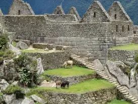 machu-picchu-2782850_1920