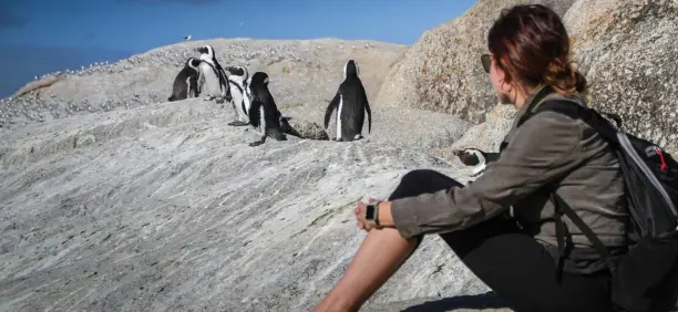 Gay Group Trip: South Africa Adventure