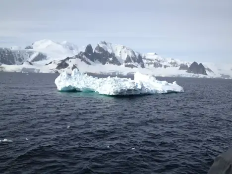 Gay Group Trip: Antarctica Adventure and Cruise