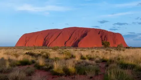 aus aus