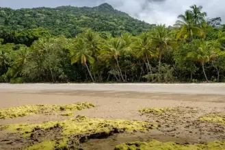 daintree-4337397_960_720 daintree-4337397_960_720