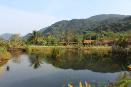Amazon River Cruise and Machu Picchu Gay Group Trip Amazon River Cruise and Machu Picchu Gay Group Trip