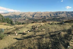 Sacred Valley Sacred Valley