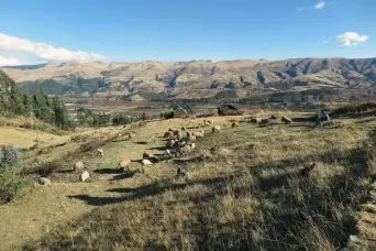 Sacred Valley Sacred Valley