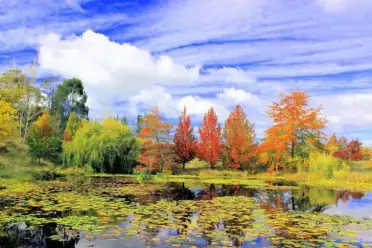 New Zealand New Zealand