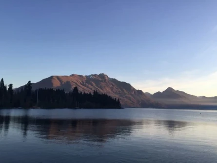 NZ NZ