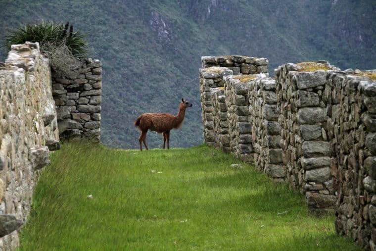 Cusco