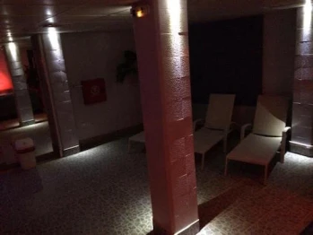 FLEX Sauna