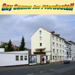 Kasselin gay-saunat