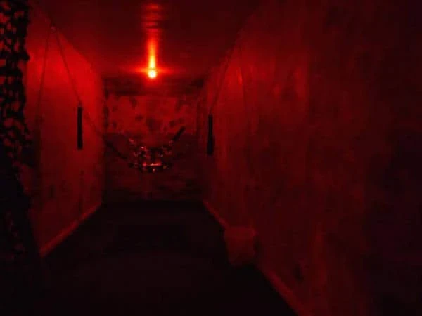 Sling Room in Gator Sauna Exeter