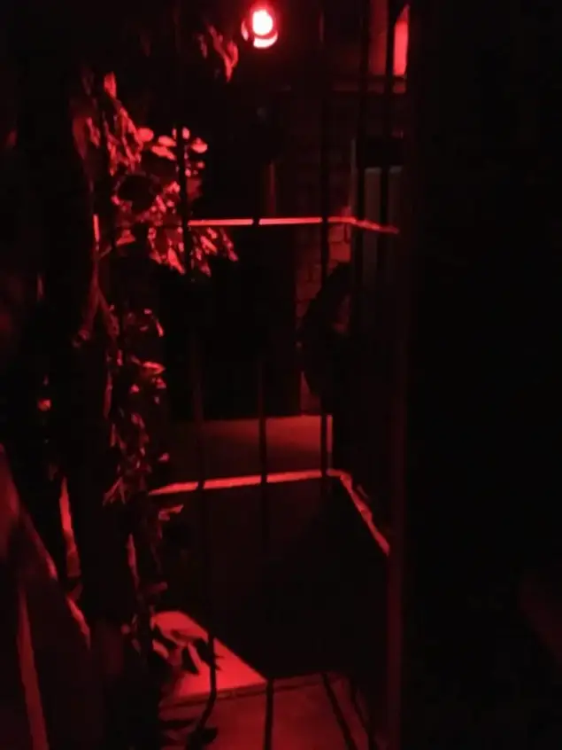 Kino-Labyrinth