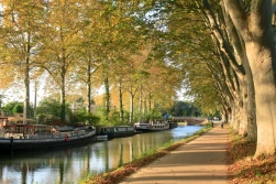 canaldumidi, toulouse, trees