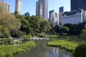 Central Park / Hell's Kitchen