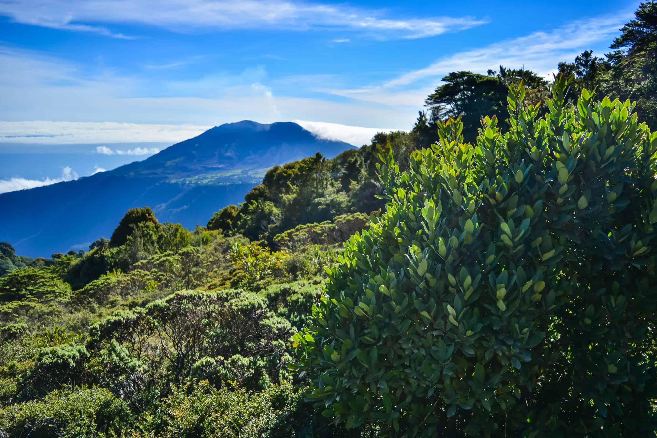 kosta rika, gunung berapi, gunung