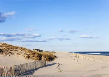 Hamptons
