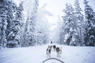 Saunas gays de Rovaniemi