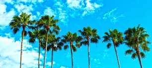 Florida