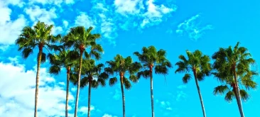 Florida