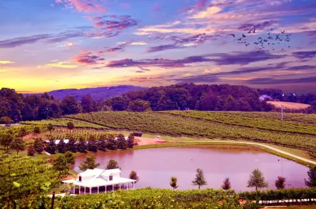 Gay Napa Valley