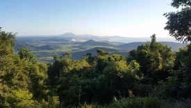 Port Douglas