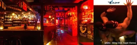 Vienna · Gay Cruise Clubs