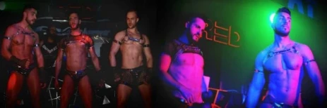 Bologna · Gay Bars & Clubs