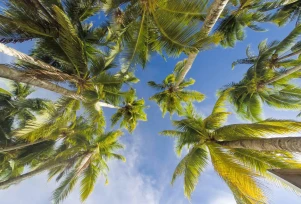 Gay Palm Springs