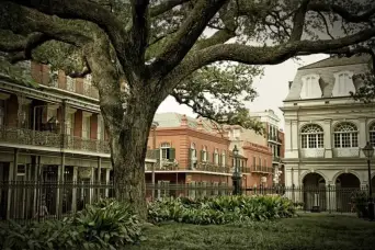 Gay New Orleans Hotels