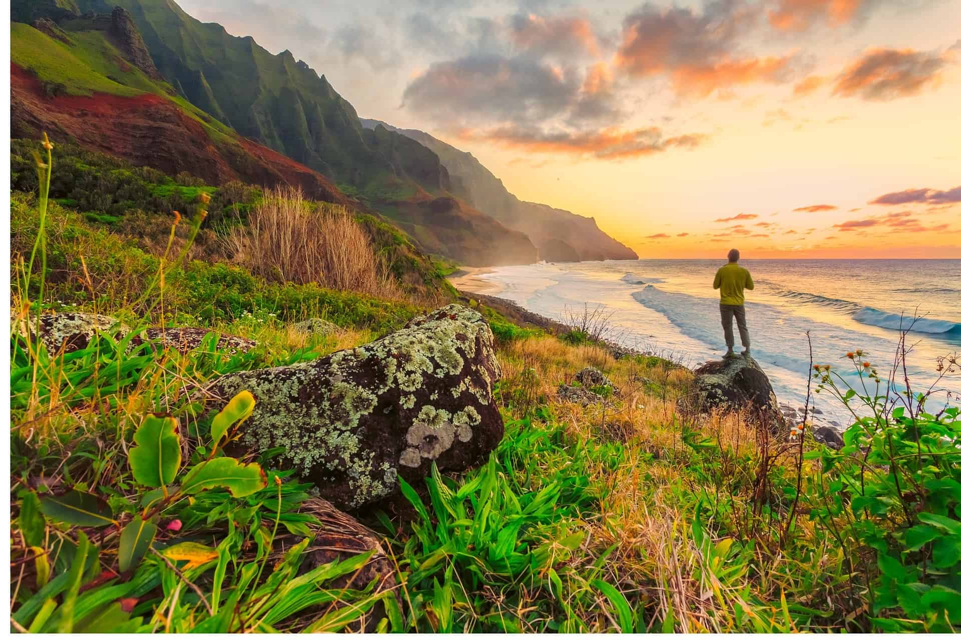 Homoseksuel Honolulu