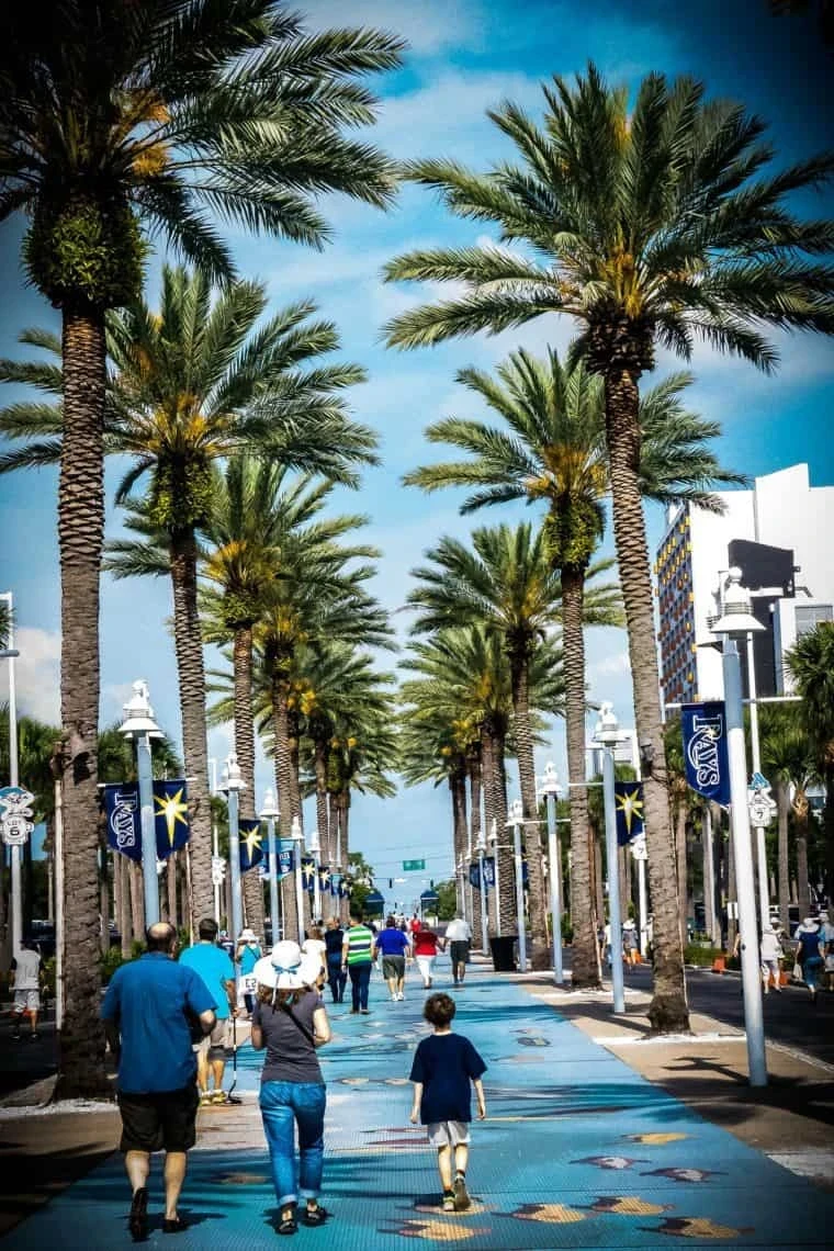 Gay St. Petersburg · Hotels