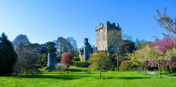 Cork · Guesthouses & B&B