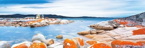 Gay Tasmania · Hotels