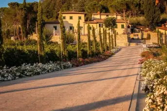 Gay Arezzo