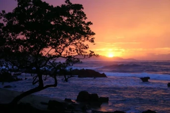 Puerto Rico · Bars
