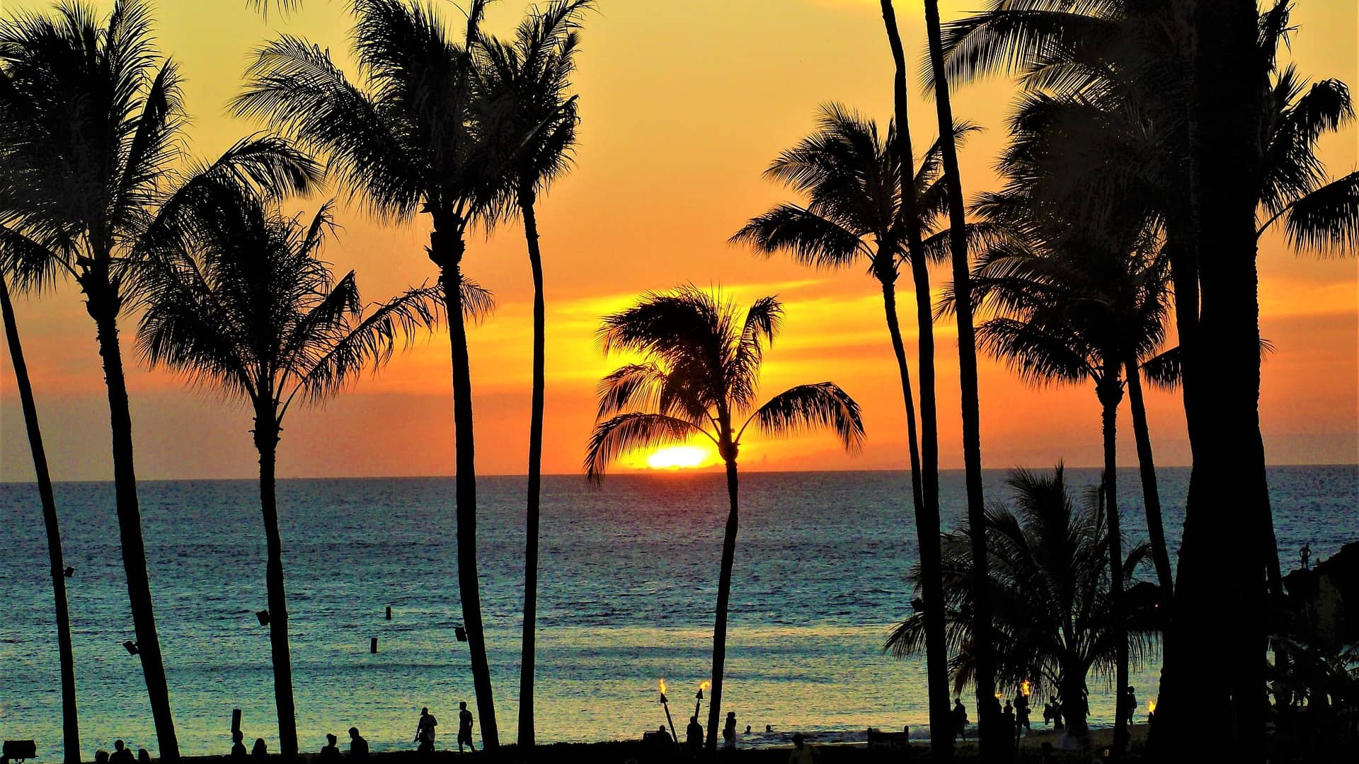 Idź do Maui