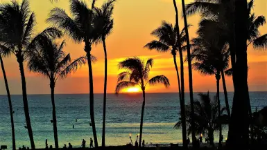 Go To Maui