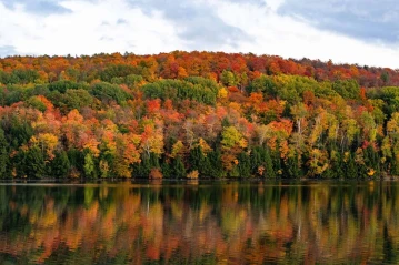Gay Vermont