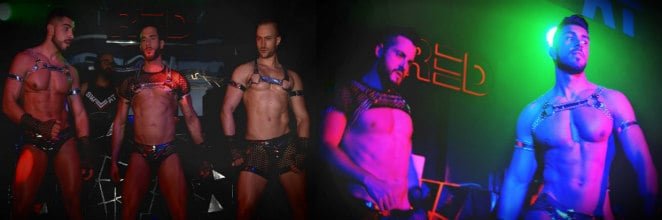 Bologna · Gaybarer och klubbar