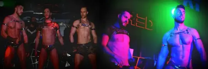 Bologna · Gay Bars & Clubs
