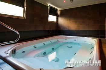 Magnum Sauna