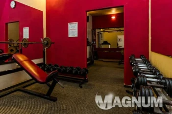 Magnum Sauna