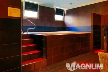 Magnum Sauna