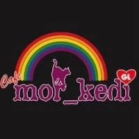 Cafe Mor Kedi