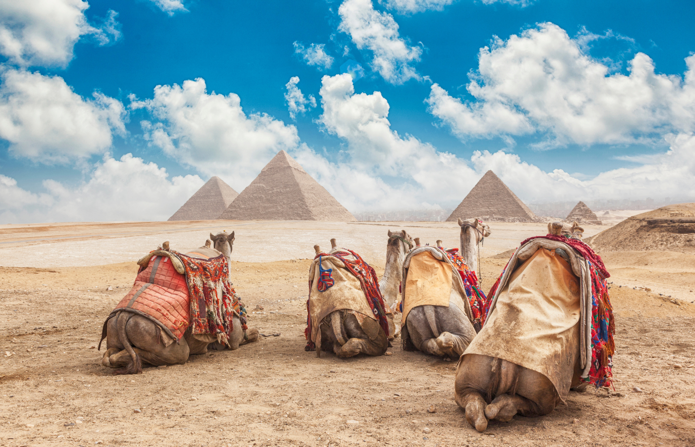 ゲイのグループ旅行：エジプトと王家の谷