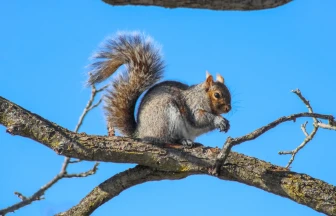 Niagara Niagara On The Lake