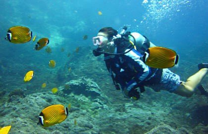 Koh Tao, Paraiso ng Isang Maninisid