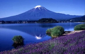 Iconic Sunrise At Mount Fuji