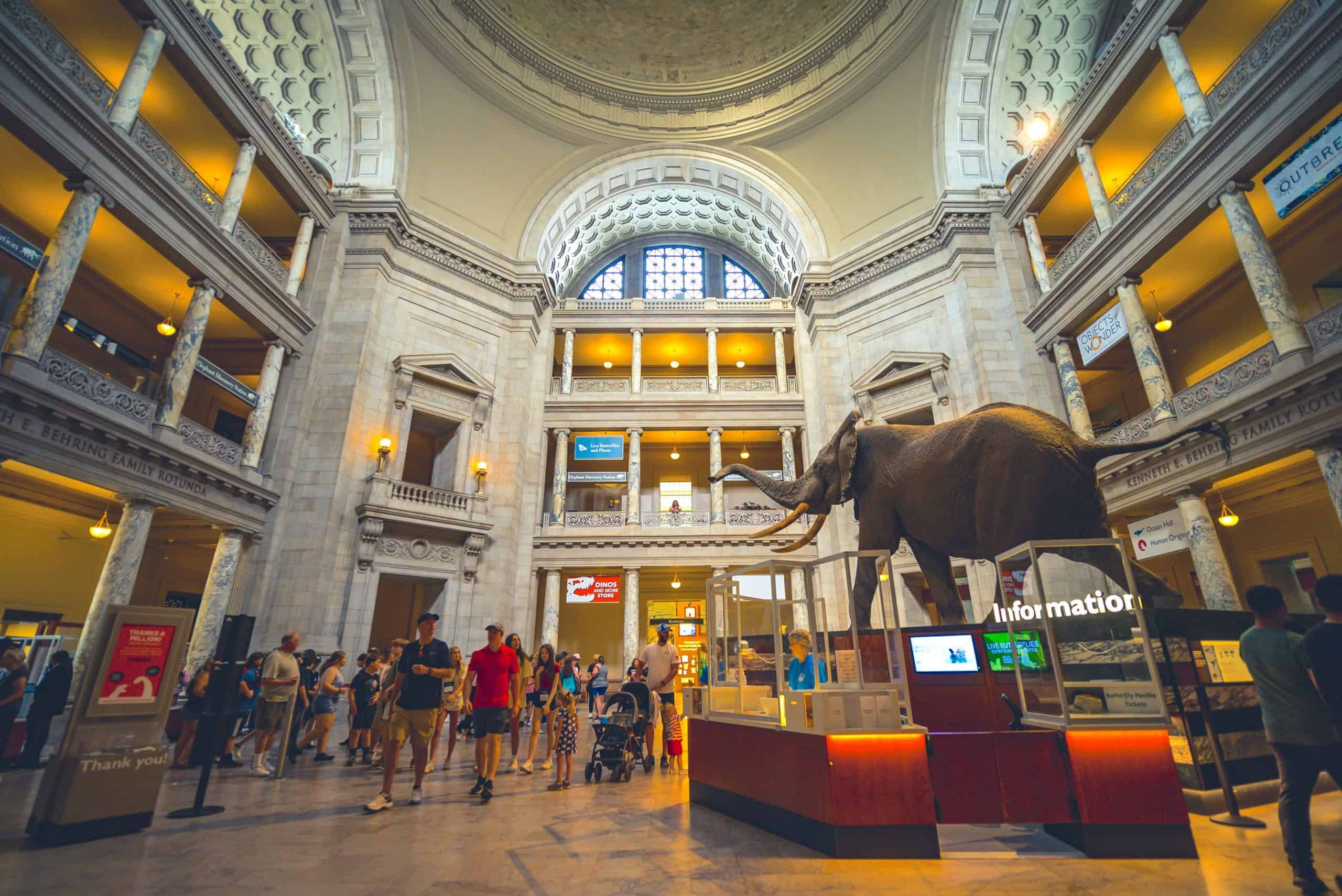 自然歷史博物館華盛頓特區